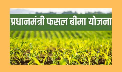Today is the last date for getting crop insurance in Rabi crop.