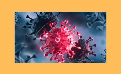 Omicron variant has spread to 30 countries in 9 days