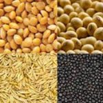 बीज मूल्य निर्धारण 2026: खरीफ फसलों के प्रमाणित बीज दर जारी