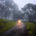 छत्तीसगढ़ बारिश अलर्ट: 75% प्रदेश में पहुंचा मानसून तेजी से