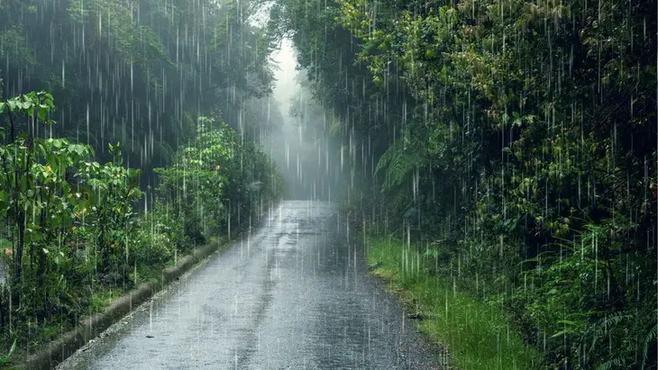 Monsoon Updates