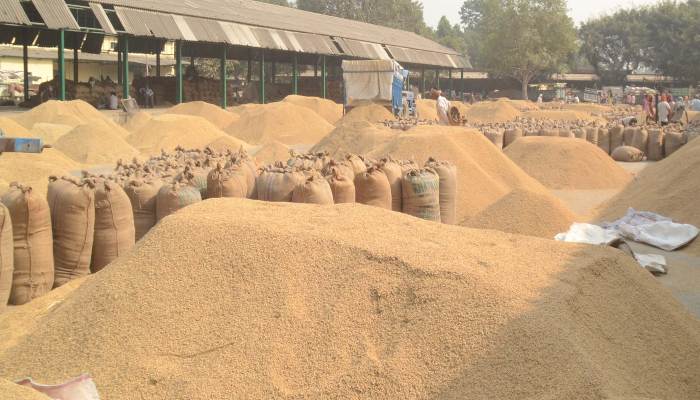 महासमुंद धान स्टॉक