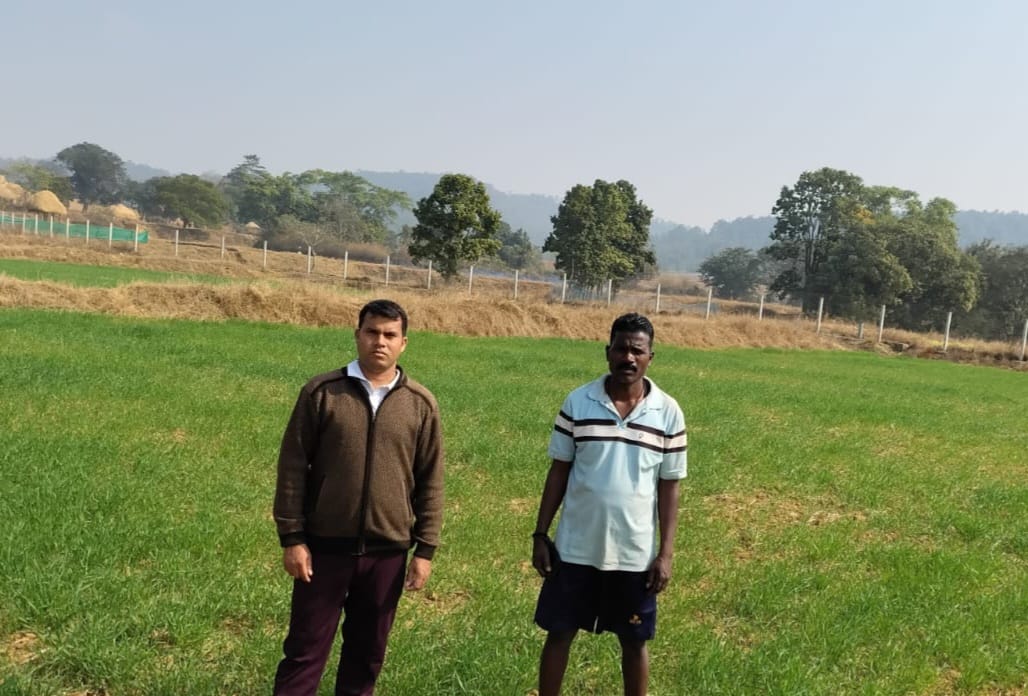 Wheat Farming