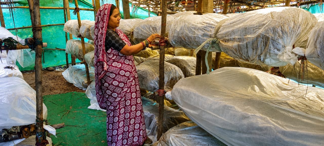 ग्रामीण महिलाओं की सफलता