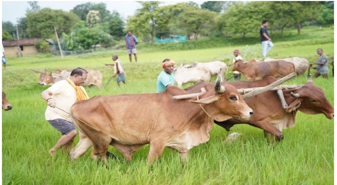 विष्णुदेव साय किसान