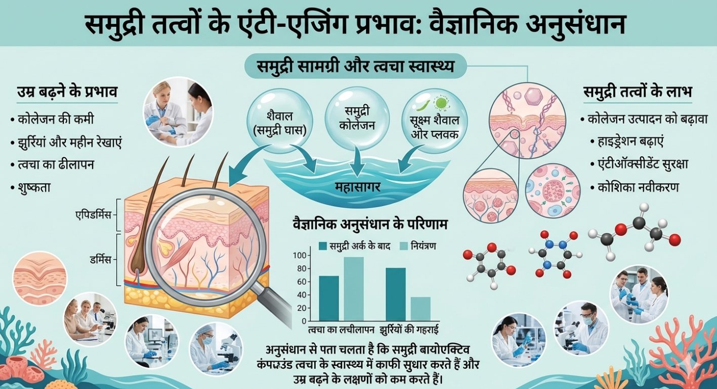 समुद्री तत्व से बुढ़ापा कम होने की रिसर्च दिखाता वैज्ञानिक ग्राफिक