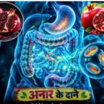 अनार यूरोलिथिन ए: दिल के लिए नई उम्मीद, पर अभी जानवरों पर ही हुई है स्टडी